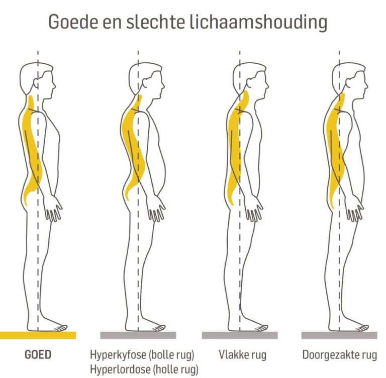 Rugpijn Door Zittend Werk Oorzaken En Tips Dorsoo