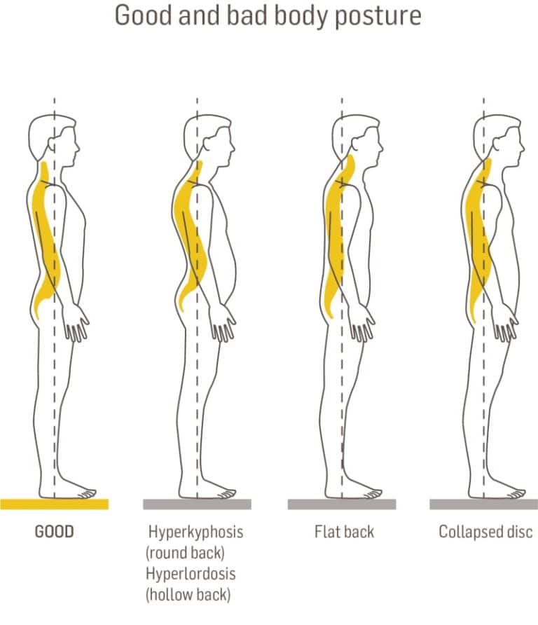 Back Pain Due To Sedentary Work Causes And Tips Dorsoo